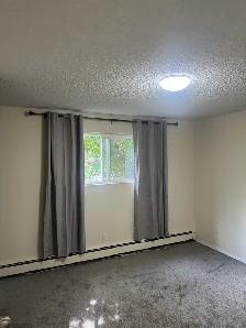 TWO BEDROOM APARTMENT RED DEER - Photo 5