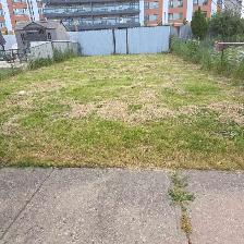 Looking for a residential grass cutter - Photo 2