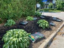 Reliable Local Yard Work - Photo 2
