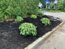 Reliable Local Yard Work - Photo 3