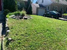 Reliable Local Yard Work - Photo 5