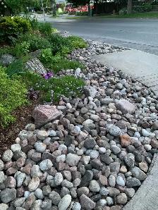 Reliable Local Yard Work - Photo 6