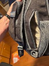 2 Cross Body Bags - $40 for the pair - Photo 6