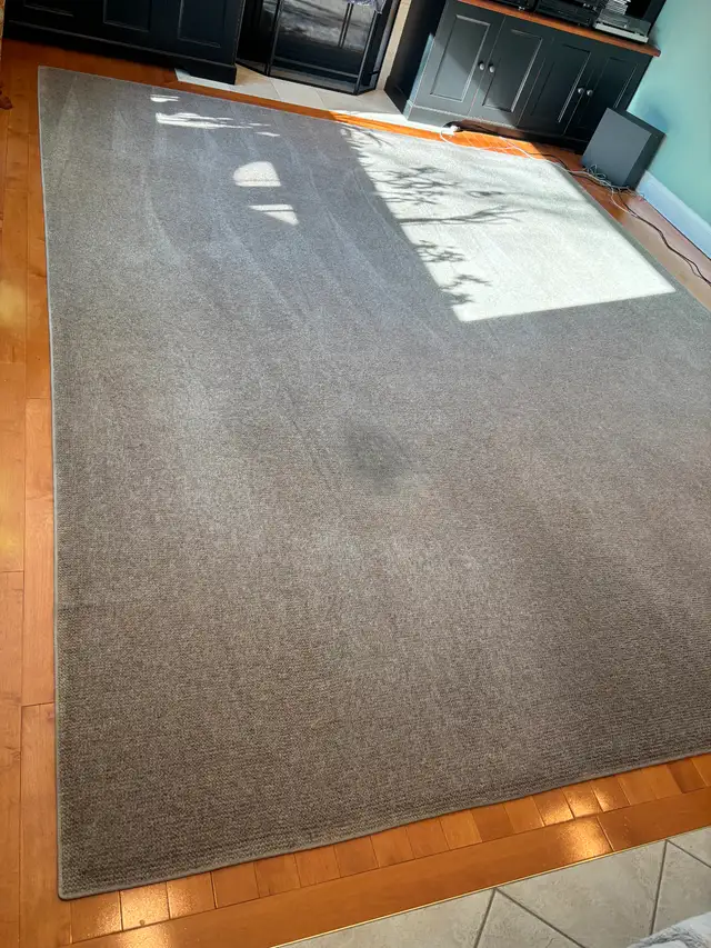 Free 11'x13x Area Rug (some wear)