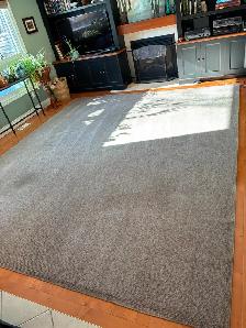 Free 11'x13x Area Rug (some wear) - Photo 2