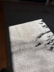 Free 11'x13x Area Rug (some wear) - Photo 3