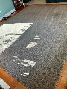 Free 11'x13x Area Rug (some wear) - Photo 4