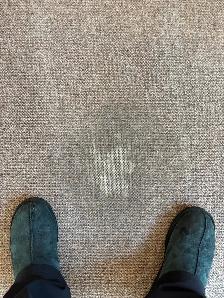 Free 11'x13x Area Rug (some wear) - Photo 5