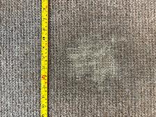 Free 11'x13x Area Rug (some wear) - Photo 6