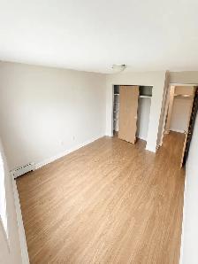 Room Available In A Spacious, Quiet 2-Bedroom Appartment - Photo 2