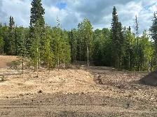 5.63 Acre Ready-to-Build Acreage – Minutes from Prince George - Photo 2