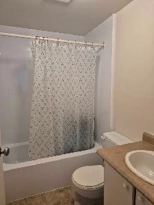 Appartement à louer : cession de bail - Photo 8