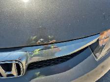 2010 Honda Civic - Photo 41