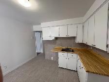 Grand 4 1/2 au rez-de-chaussée - Large 4 1/2 on the ground floor