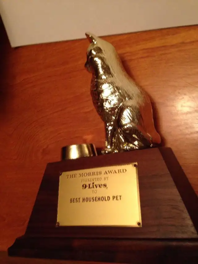 Morrise Cat Trophie Award (Rare)
