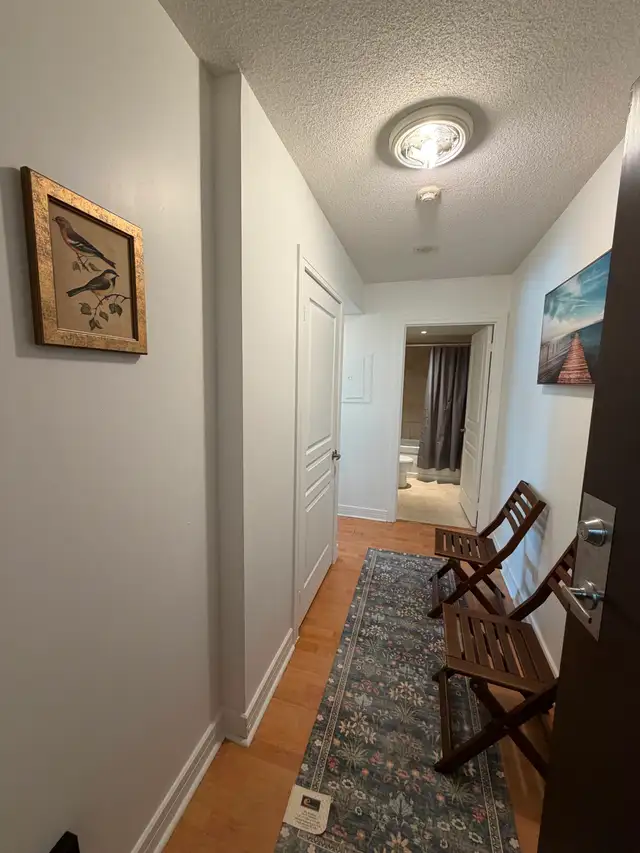 CONDO Studio furnished, long or short, term Yonge & Sheppard