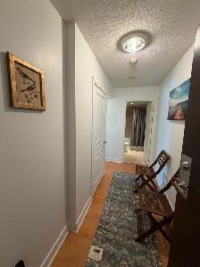 CONDO Studio furnished, long or short, term Yonge & Sheppard