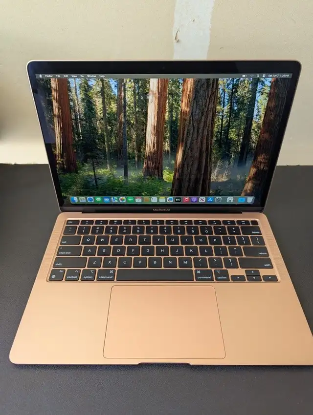 MacBook Air 13' A2179 256Gb -$449 with 1 year warranty