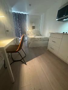 Furnished Studio - Downtown - Photo 5