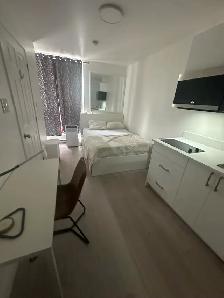 Furnished Studio - Downtown - Photo 6