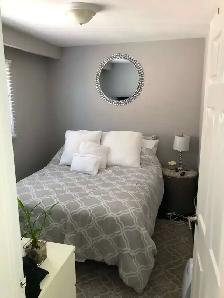 1 Bed, 1 Bath - Beautiful and Bright - Photo 4