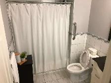 1 Bed, 1 Bath - Beautiful and Bright - Photo 6