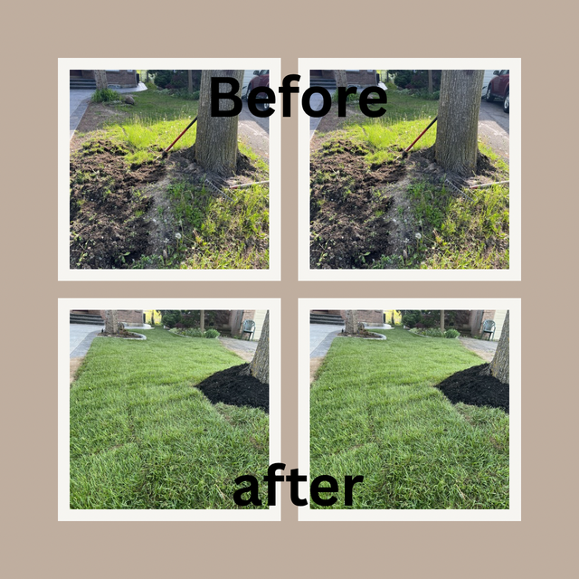 (Sunrise green )-landscaping need sod garden bed renovation