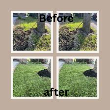 (Sunrise green )-landscaping need sod garden bed renovation