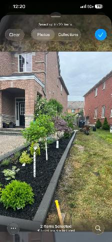 (Sunrise green )-landscaping need sod garden bed renovation - Photo 2