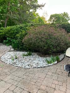 (Sunrise green )-landscaping need sod garden bed renovation - Photo 3