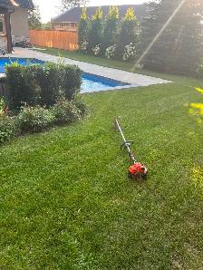(Sunrise green )-landscaping need sod garden bed renovation - Photo 4