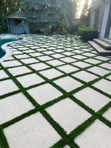 (Sunrise green )-landscaping need sod garden bed renovation - Photo 5