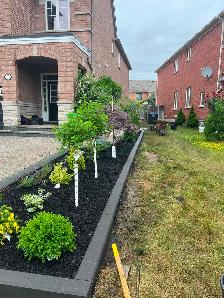 (Sunrise green )-landscaping need sod garden bed renovation - Photo 6