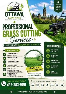 Lawn Care Service