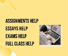 Assignment Help | Essays, Reports & Online Courses