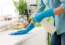Wanted experienced cleaning lady