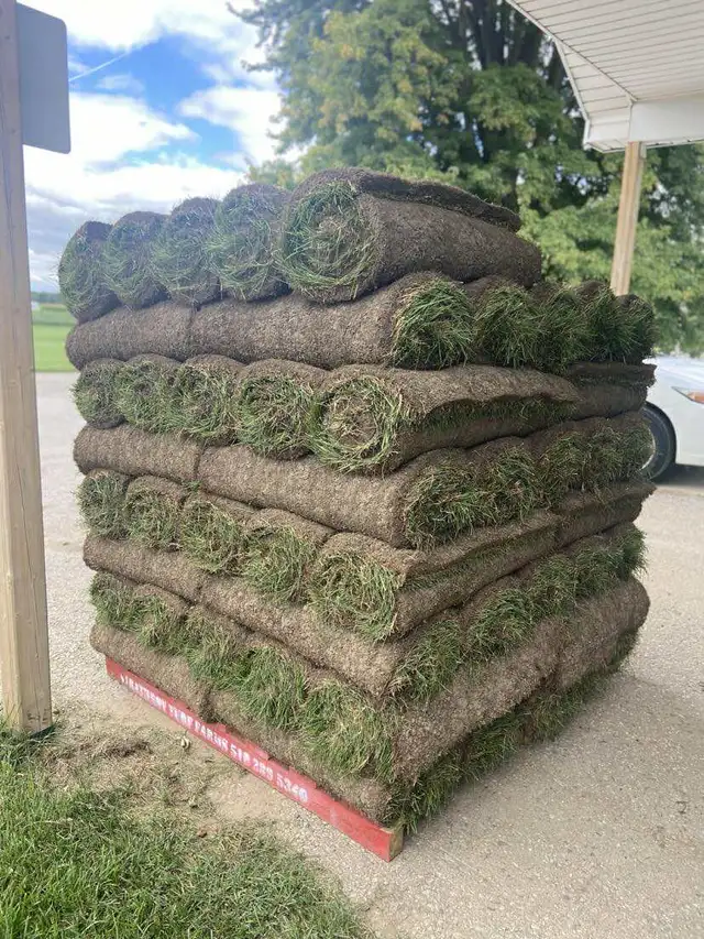 FARM FRESH SOD