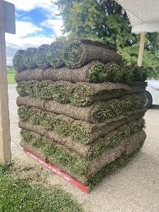 FARM FRESH SOD