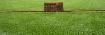 FARM FRESH SOD - Photo 5