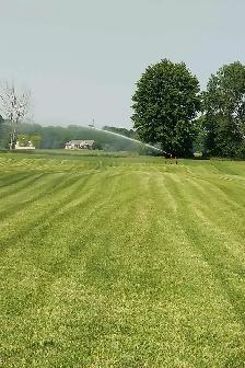 SOD STRAIGHT FROM THE FARM - Photo 3