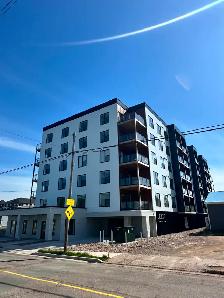 NEW CONSTRUCTION IN TRURO NOW RENTING