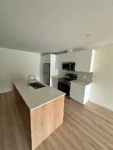 NEW CONSTRUCTION IN TRURO NOW RENTING - Photo 2