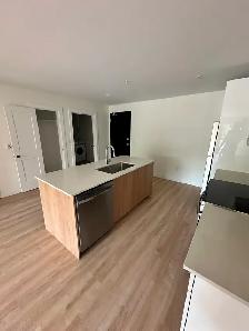 NEW CONSTRUCTION IN TRURO NOW RENTING - Photo 3