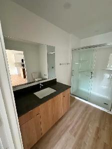 NEW CONSTRUCTION IN TRURO NOW RENTING - Photo 4