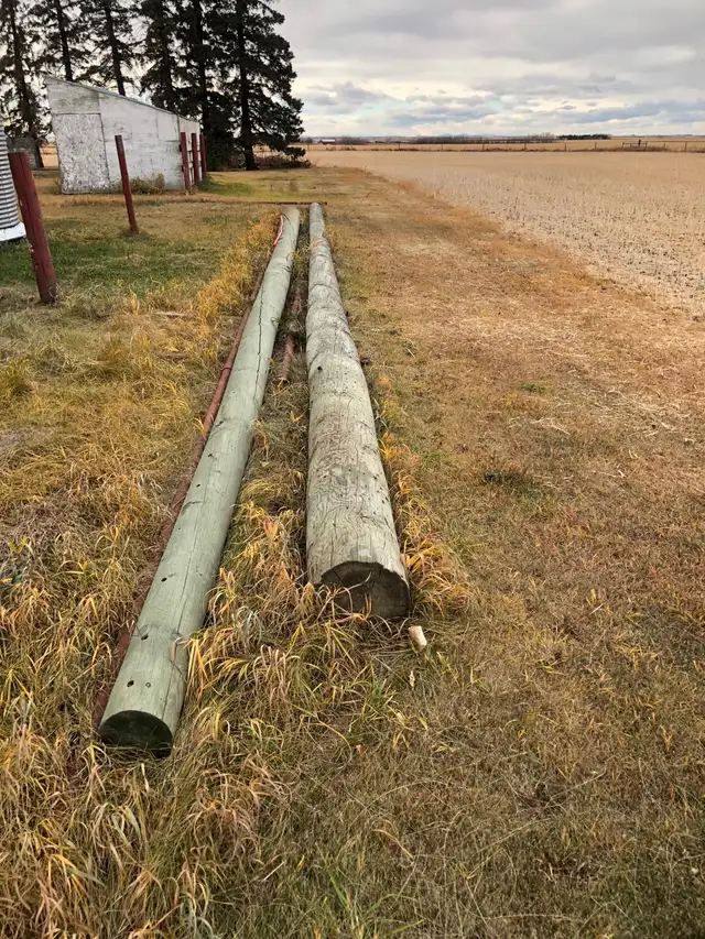 lightly used power poles