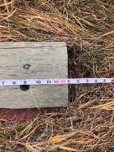 lightly used power poles - Photo 2