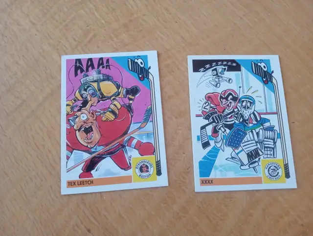 Carte Hockey Panini 1992 Les fous du hockey Tex Leetch170626-341