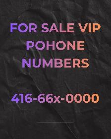 Limited Quantities of Best Vip Phone Numbers. 416,647,905,437