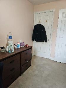 2 Rooms for Rent Close To York U, Env.Can, Sanofi Pasteur, UoT A - Photo 3