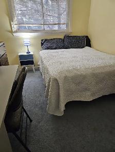 2 Rooms for Rent Close To York U, Env.Can, Sanofi Pasteur, UoT A - Photo 9
